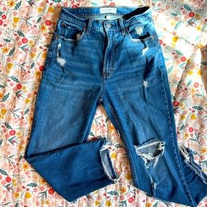 Abercrombie & Fitch Curve Love Mom Jeans 27/4s